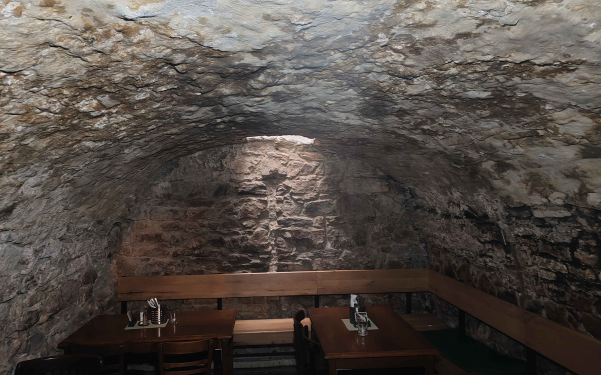 article-plisne-a-vliv-na-zdravi